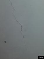 Earthquake: Ponce Puerto Rico,  January 2020
